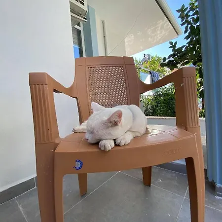 Maleyna Apartmán *